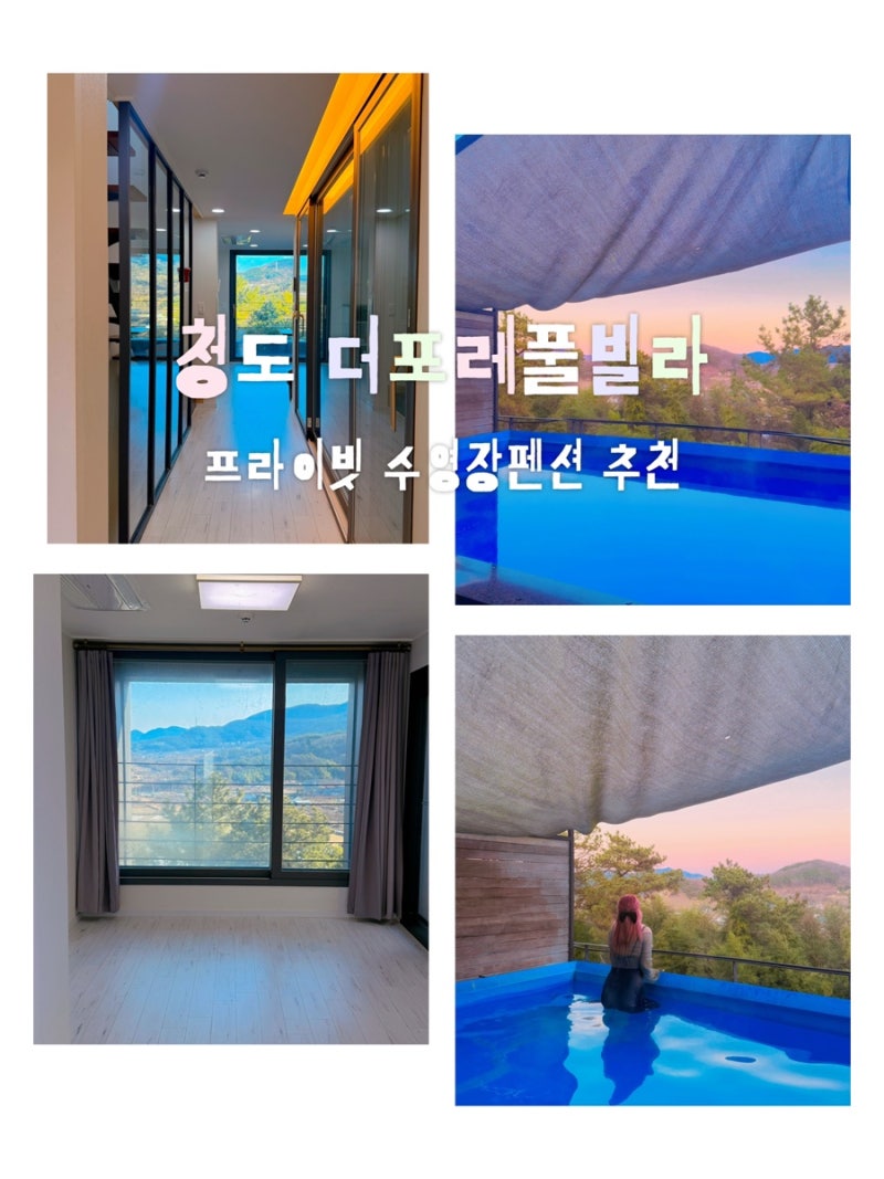 사진 6