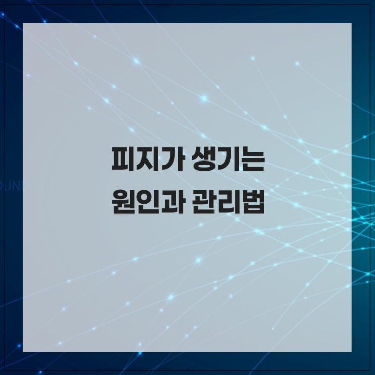  피지가 생기는 원인과 관리법을 알고 건강한 피부유지하기