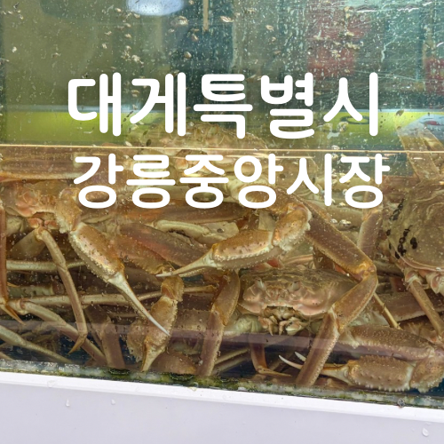 강릉 대게특별시 본점 킹크랩 포장 후기 중앙시장 내부 수율·맛 기대 이상이었던 체감 기록