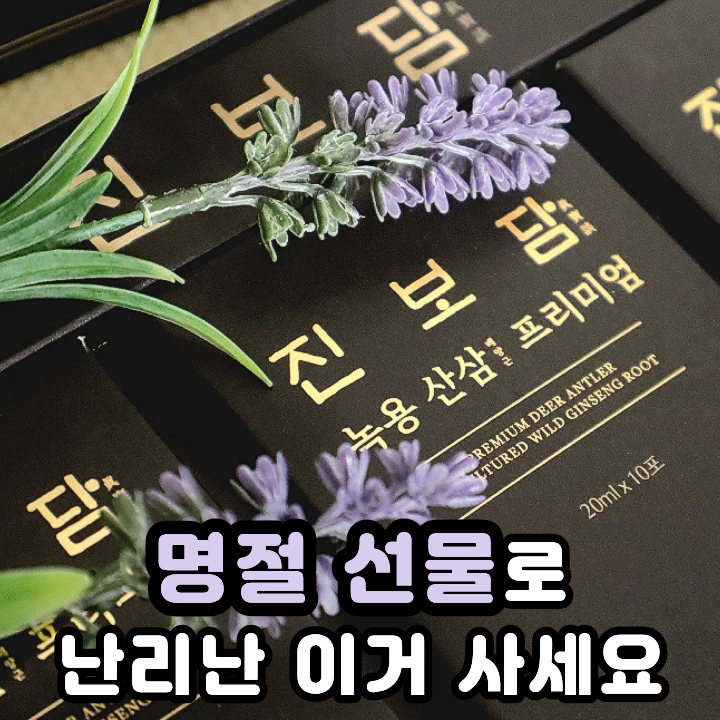 산삼배양근 스틱 홍삼액기스가 들어간 선물용 헬프로 진보담