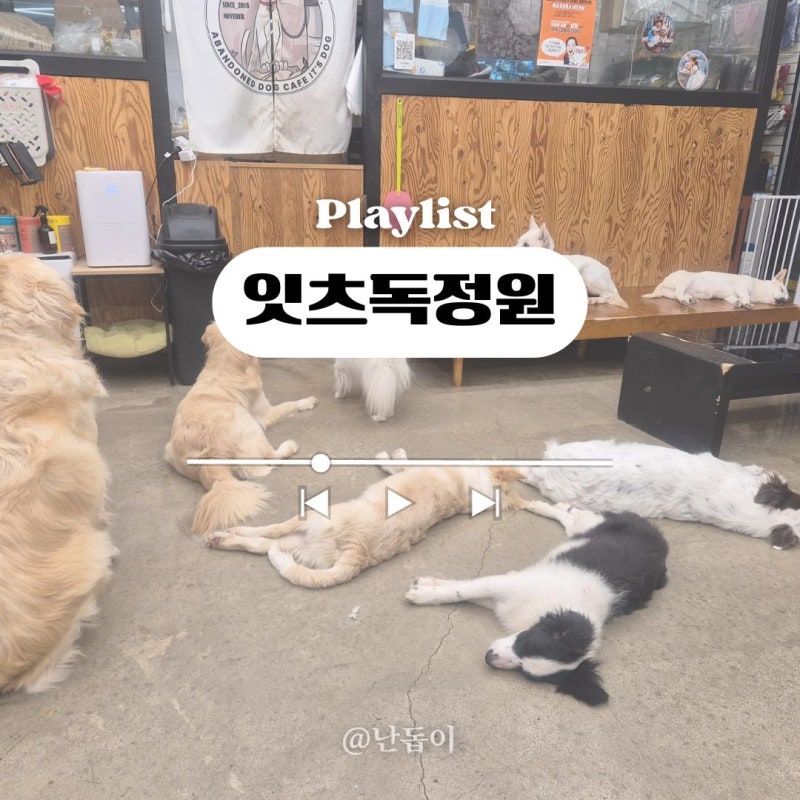 천안 유기견 애견 카페 잇츠독정원