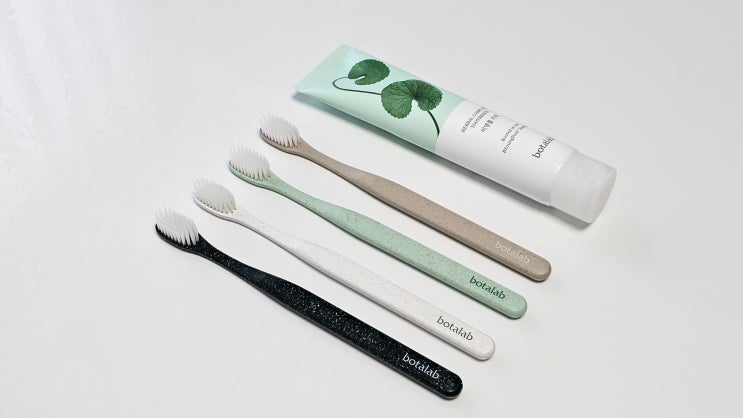  잇몸 고민 안녕! 보타랩 비영풀 치약 초극세모 칫솔로 완성하는 저자극 홈케어