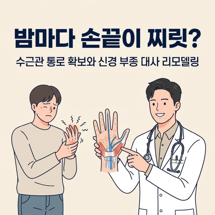  밤마다 손끝이 찌릿하고 감각이 둔할 때: 수근관 통로 확보와 신경 부종 대사 리모델링
