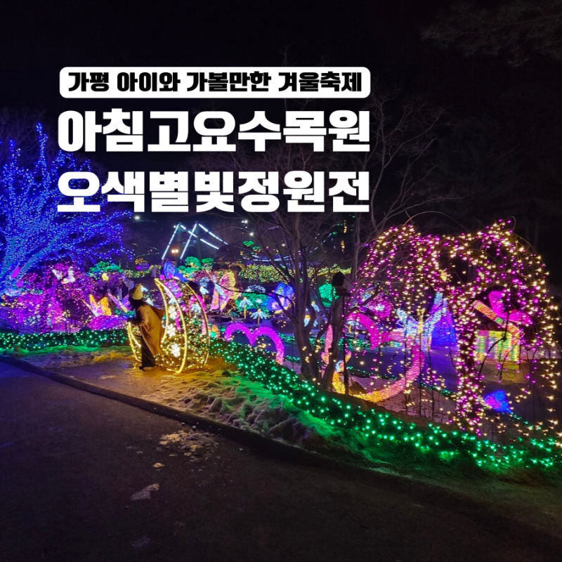 가평 아침고요수목원 야간개장 오색별빛정원전 아이와 다녀온 후기