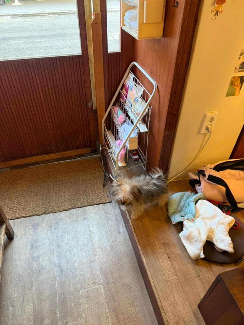 사진 5