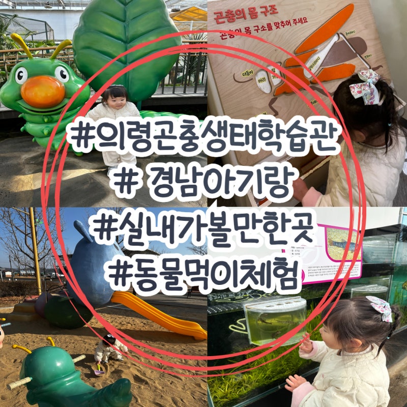 경남 실내 아기랑 가볼만한곳 의령곤충생태학습관 곤충박물관 동물먹이체험 꿀팁!