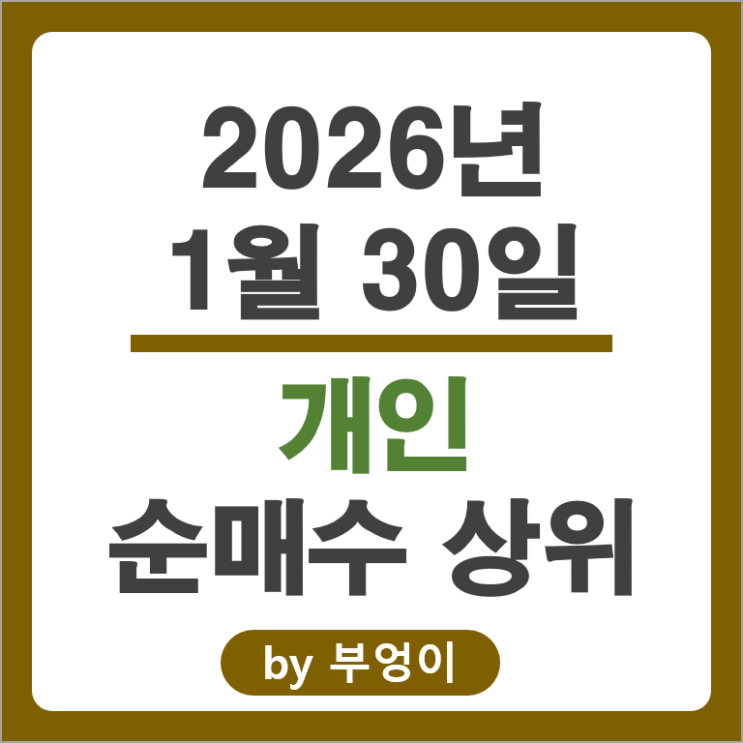 개인 순매수 주식 현대자동차 SK하이닉스 두산에너빌리티 주가