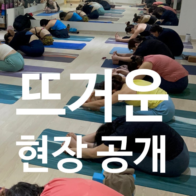  탄현동 헬스장 열정가득! 레디바디 요가 현장 공개합니다