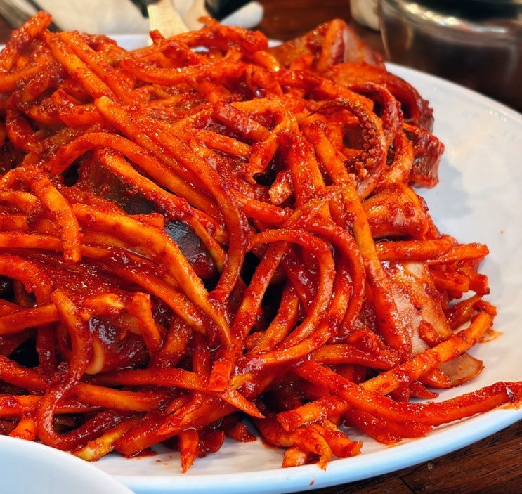  Mad for Spicy 안양 풍자 또간집 동해 오징어보쌈