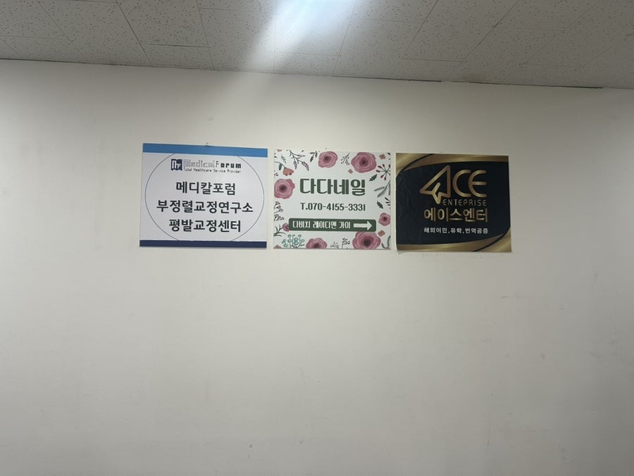 다다네일 사진 4