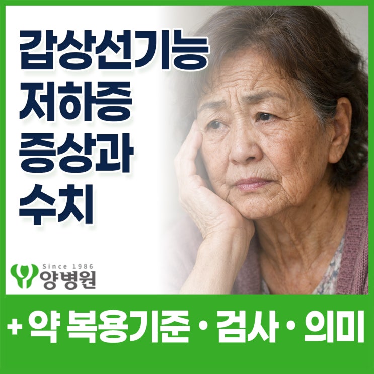  갑상선기능저하증의 의미와 주요 증상 정리 – 검사 수치·약 복용 기준까지 한눈에