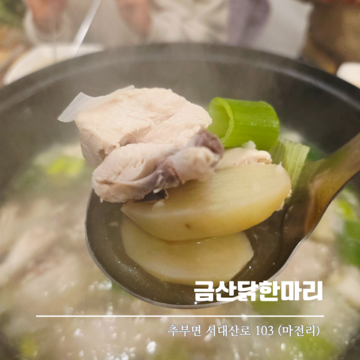  금산맛집 추부 금산닭한마리 현지인 추천 맛집