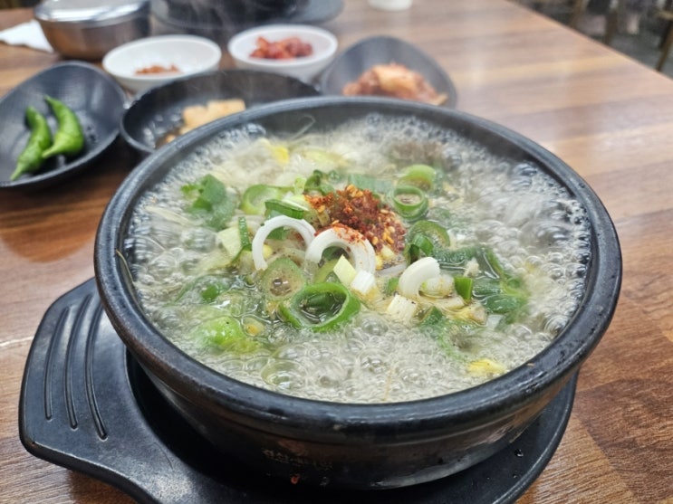  성산일출봉 근처 아침식사 추천 국밥 돈까스 맛집