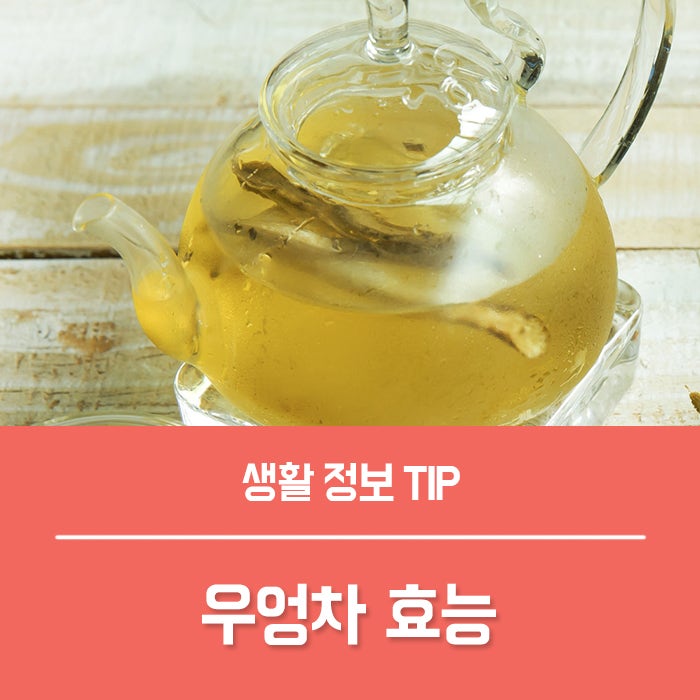 우엉차효능 TOP4, 부작용 알고 먹어요!