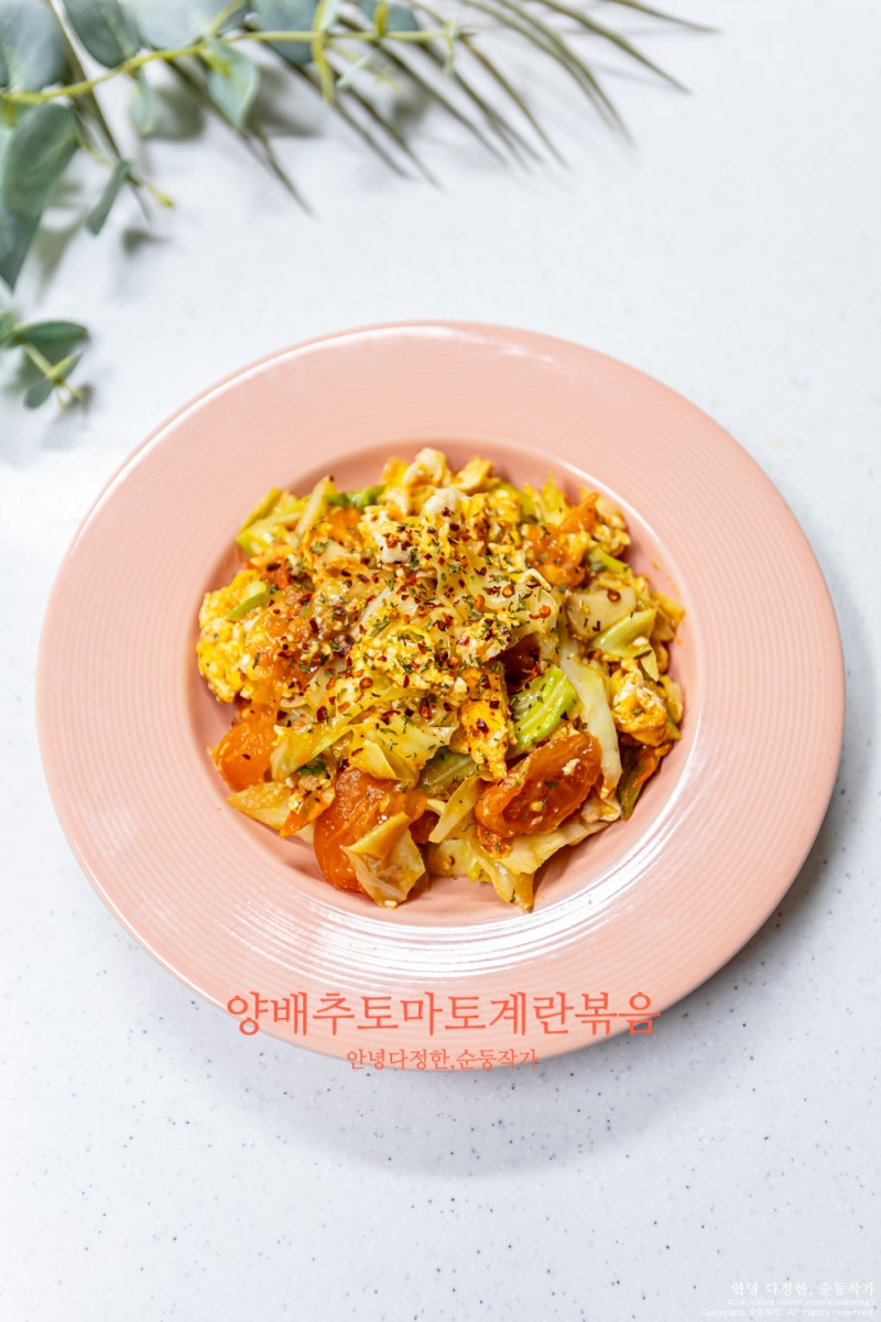 양배추 토마토 계란볶음 토달볶 레시피 다이어트 양배추 요리 추천 운동 후 식단 양배추볶음