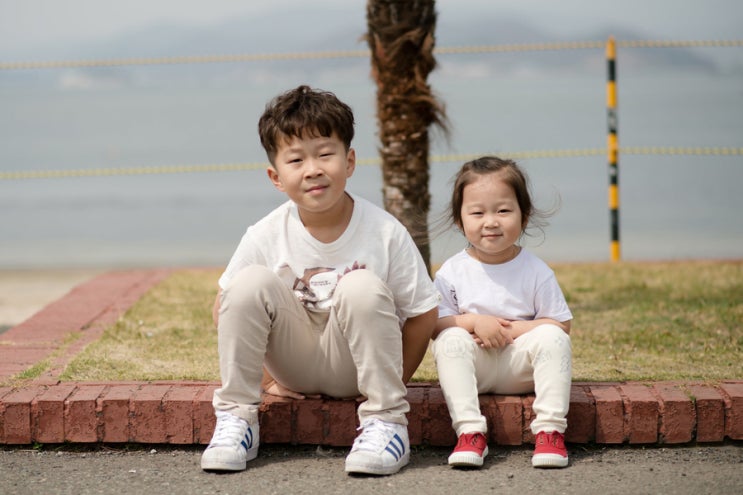  경남 진해｜벚꽃 반 사람 반, 그래도 우리가 제일 빛났던 봄날