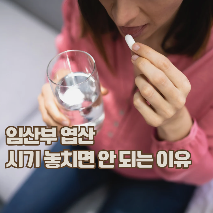  임산부 엽산 복용 시기, 언제부터 언제까지 먹어야 할까