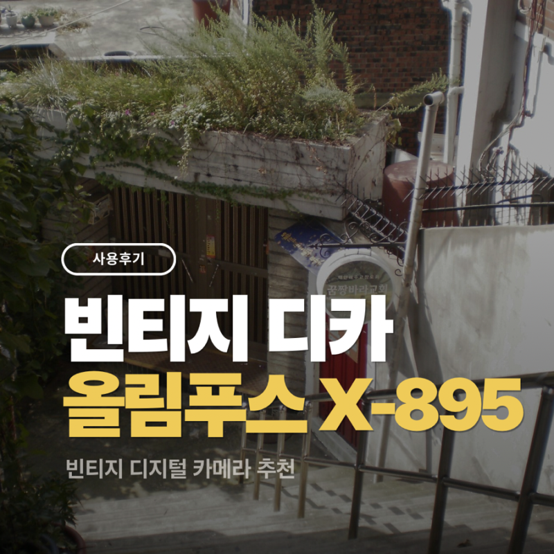 올림푸스 X-895 | 빈티지 디지털 카메라, 작례부터 세팅 레시피까지 공유