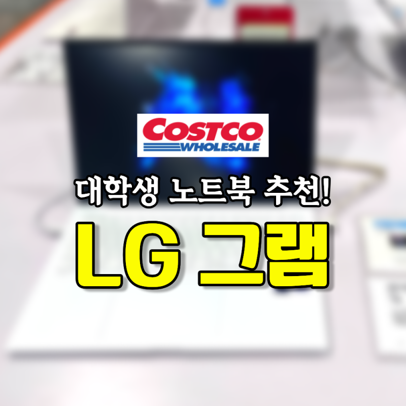 대학생 신입생 노트북 추천 코스트코 LG 그램 북 프로 가격 종류 총정리