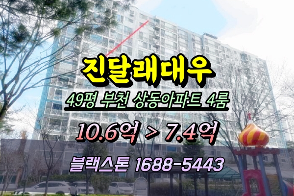  진달래마을 대우아파트 경매 49평 2209동