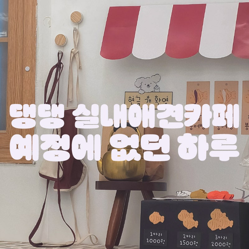 딩댕 실내애견카페