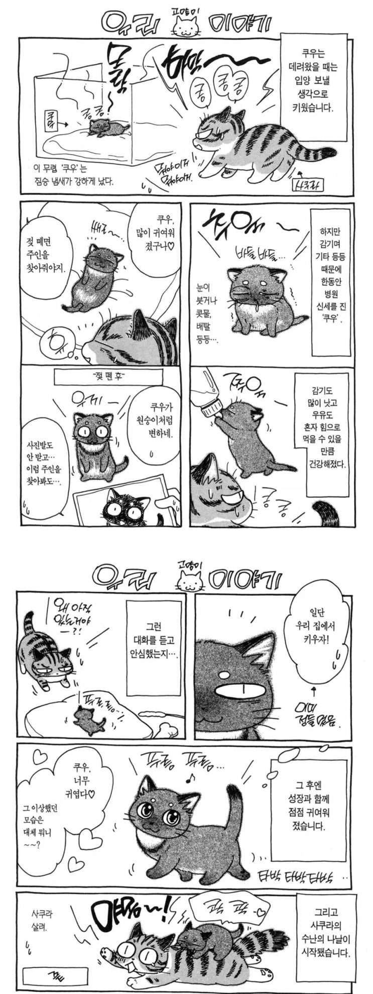  입양 보낼 동물에게 정을 주면 안되는 이유.manhwa