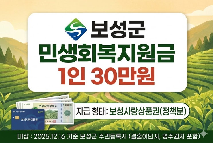  보성군 민생회복지원금 30만원 신청, 앱 vs 방문 어디가 빠를까? 직접 해봤더니
