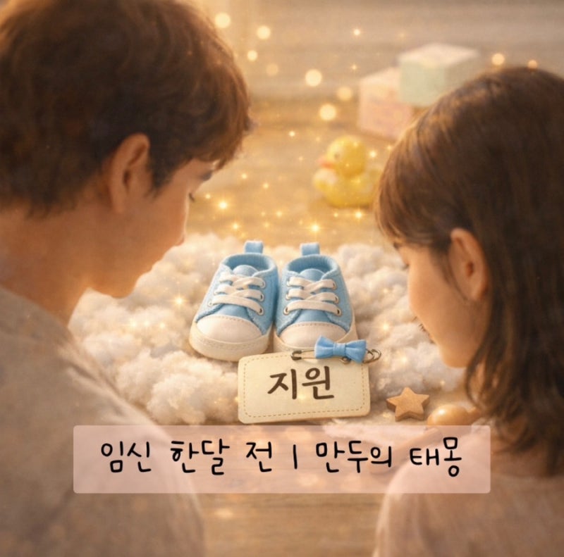[임신일기] 임신 태몽 똥 꿈, 아기 신발 꿈 | 훗날을 위해 남겨두는 만두 태몽 이야기