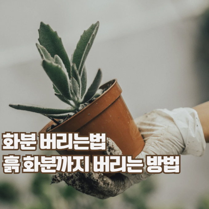 화분버리는법, 흙 화분 분리부터 처리까지 한 번에 정리