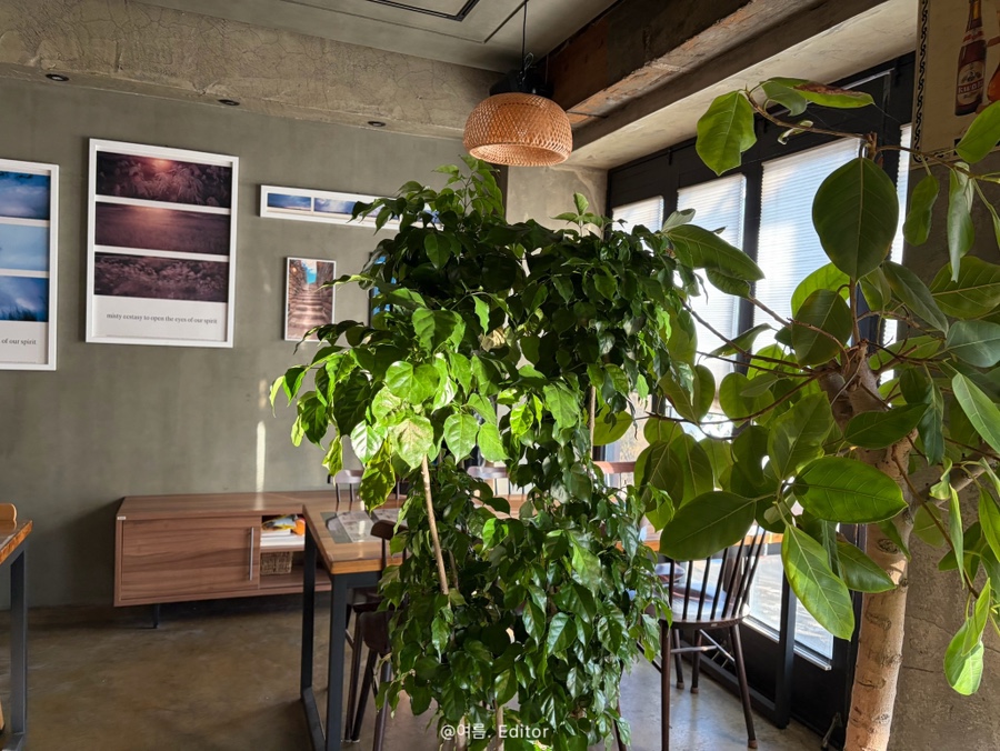 더세인트 사진 4