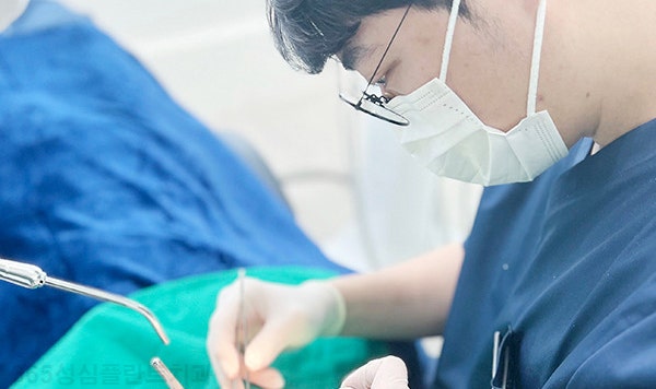 앞니 임플란트 브릿지? 치아 브릿지 기간과 가격