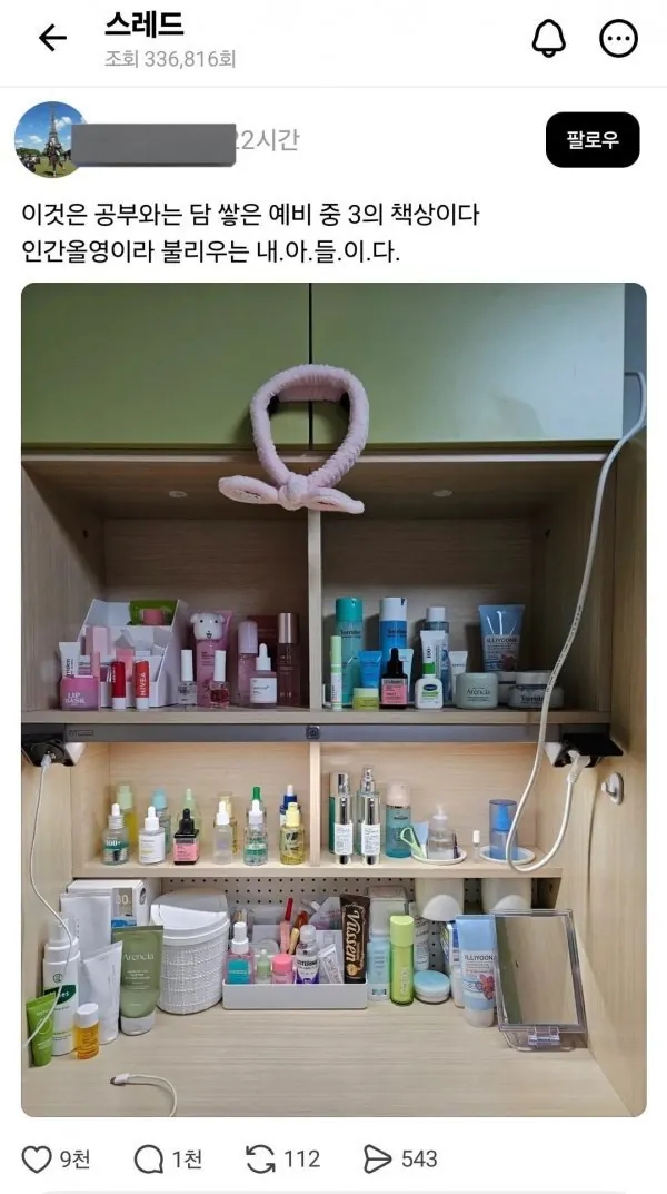 인간 올리브영과 사는 엄마