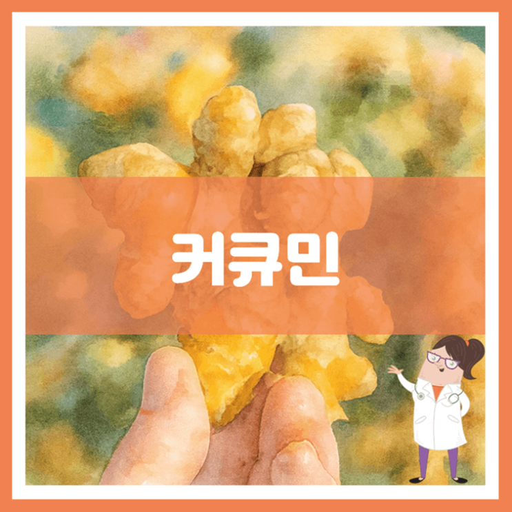 커큐민 효능 섭취방법 부작용