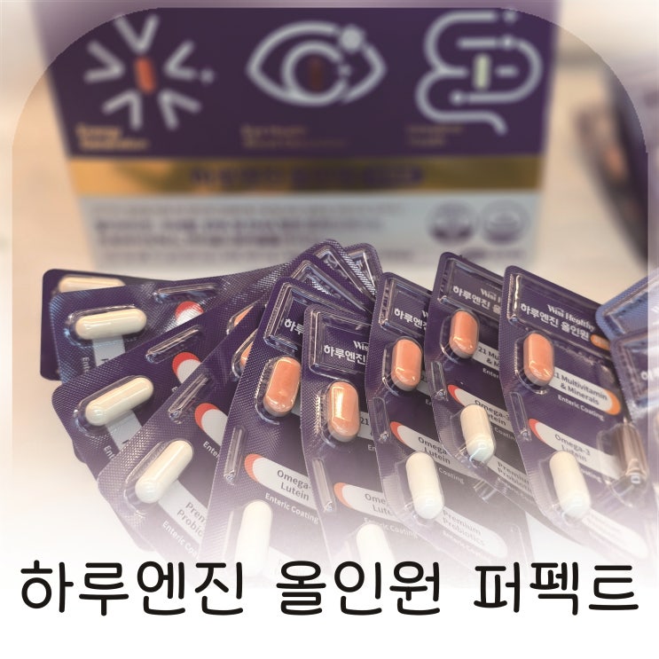  하루한장으로 전하는 설선물, 명절에 챙기기 좋은 하루엔진 올인원 퍼펙트 추천