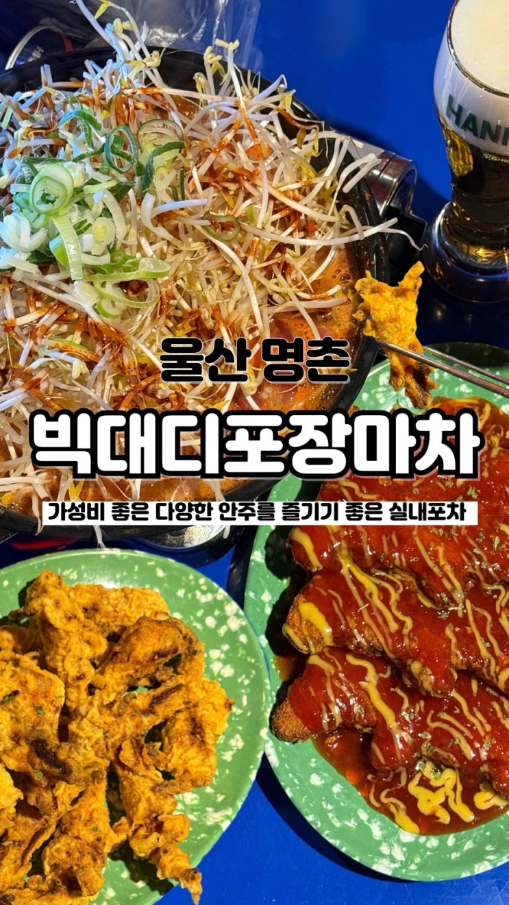  실내에서 느끼는 포차 분위기 가성비 안주 가득한 울산명촌술집 빅대디포장마차