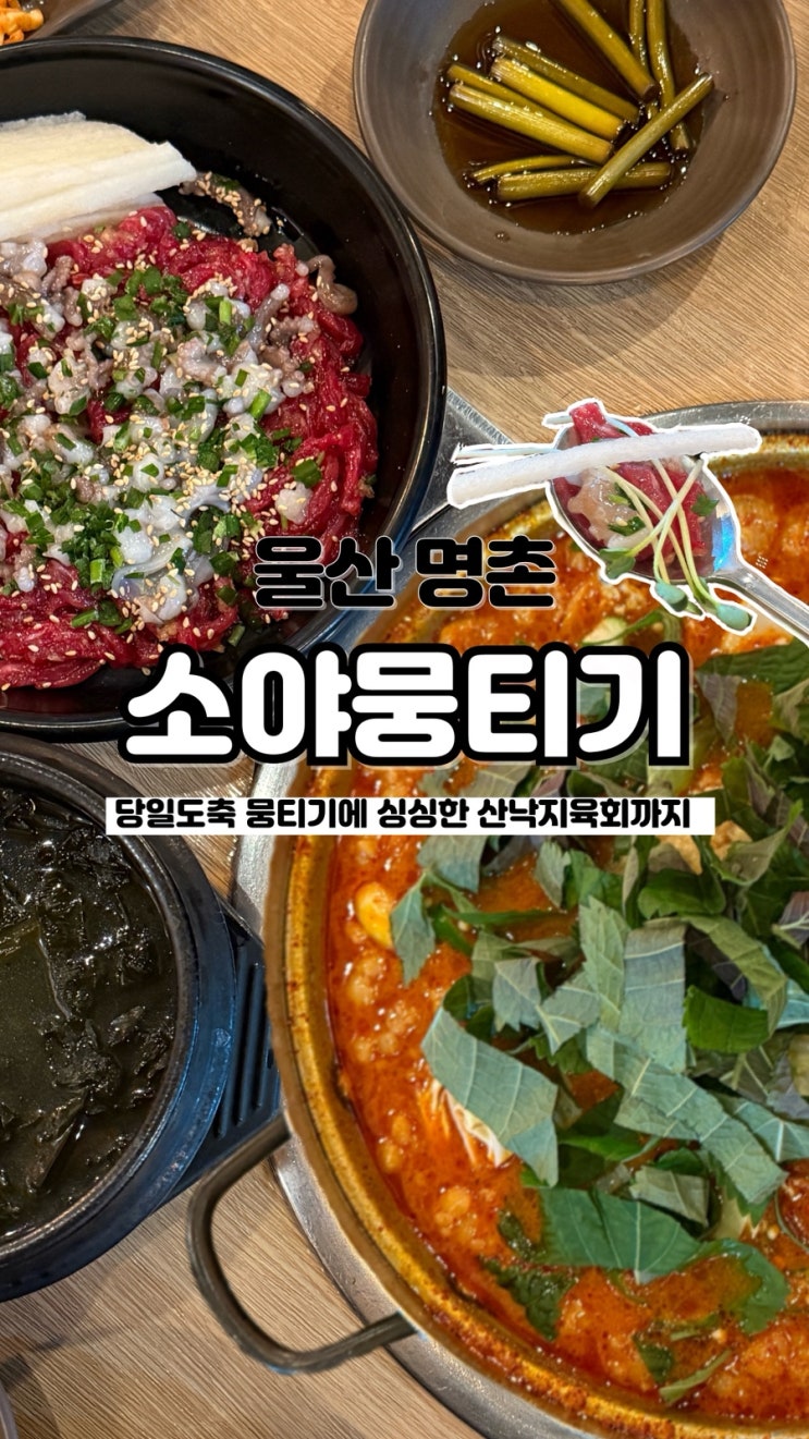  곱창 가득 곱창전골에 싱싱한 산낙지 육회 울산뭉티기 명촌소야뭉티