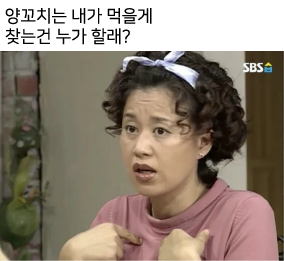 양스타 사진 2