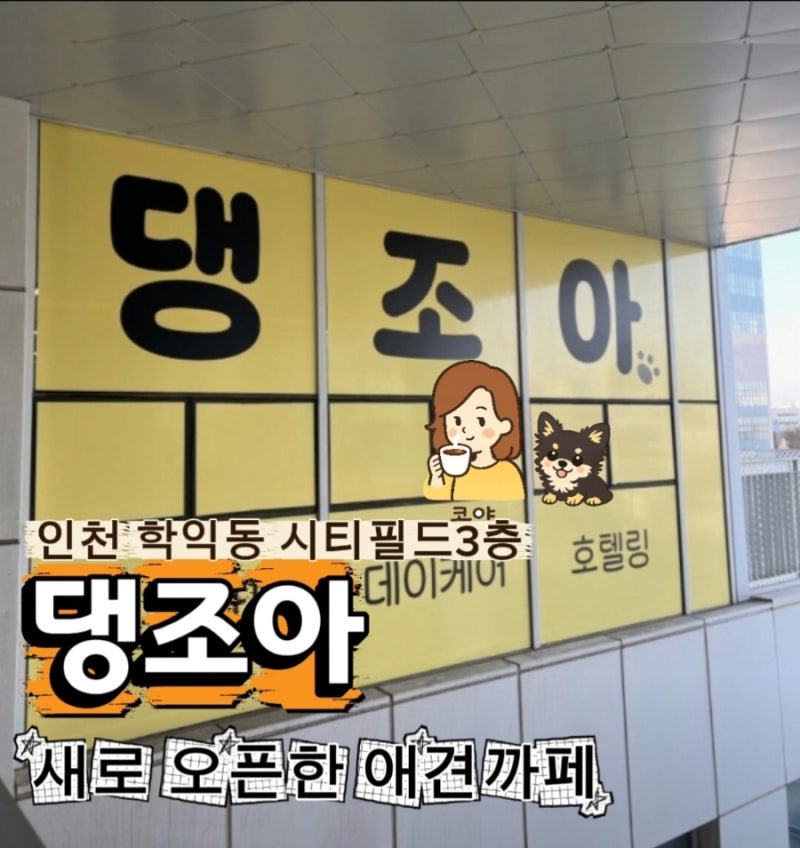 사진 3