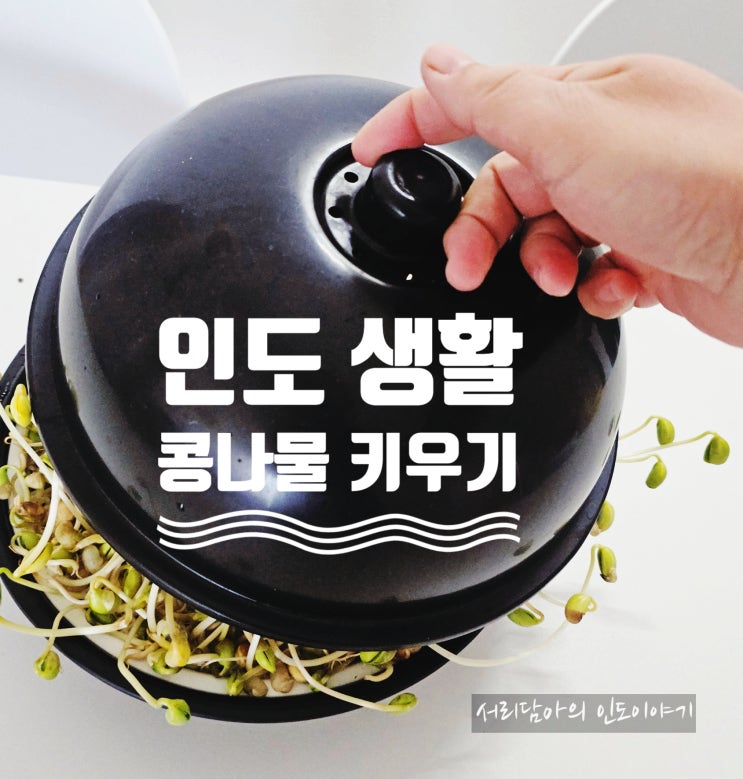  인도 주재원 생활, 인도에서 콩나물 키우기 도전
