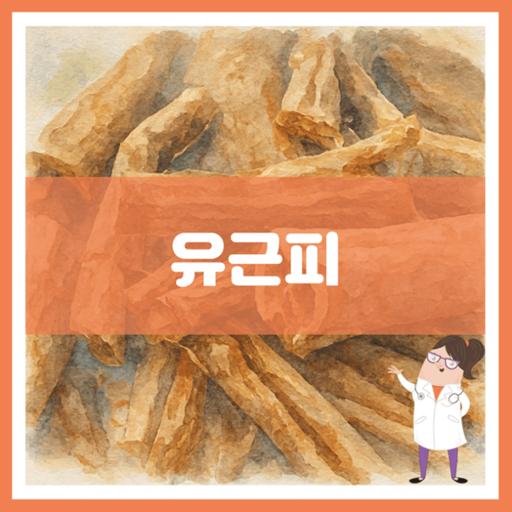  유근피 효능 부작용 먹는 방법