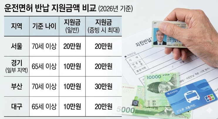  운전면허 자진반납 지원금 우리 동네는 얼마? 서울 경기 부산 대구 금액 비교했더니 충격