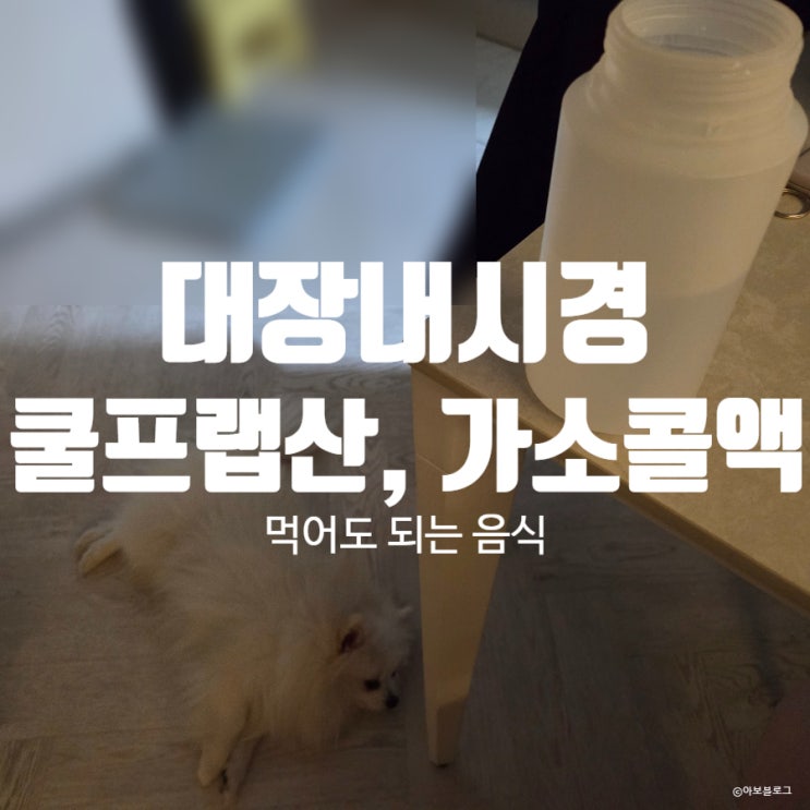 [크론병] #19 대장내시경 식단, 쿨프렙산 가소콜액 복용 방법