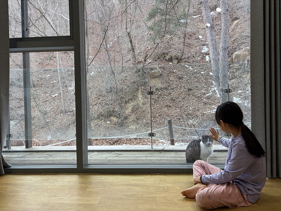 하룻밤 궁궐터 사진 3