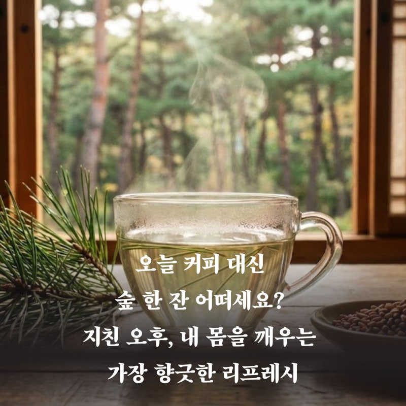 솔잎 효능과 부작용 차 효소 활용