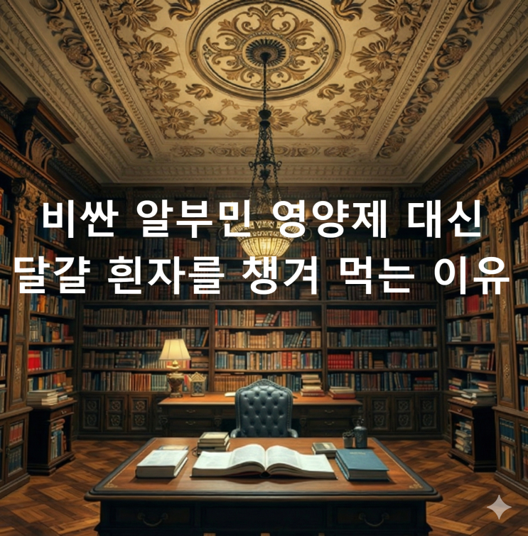  비싼 알부민 영양제 대신 달걀 흰자를 챙겨 먹는 이유