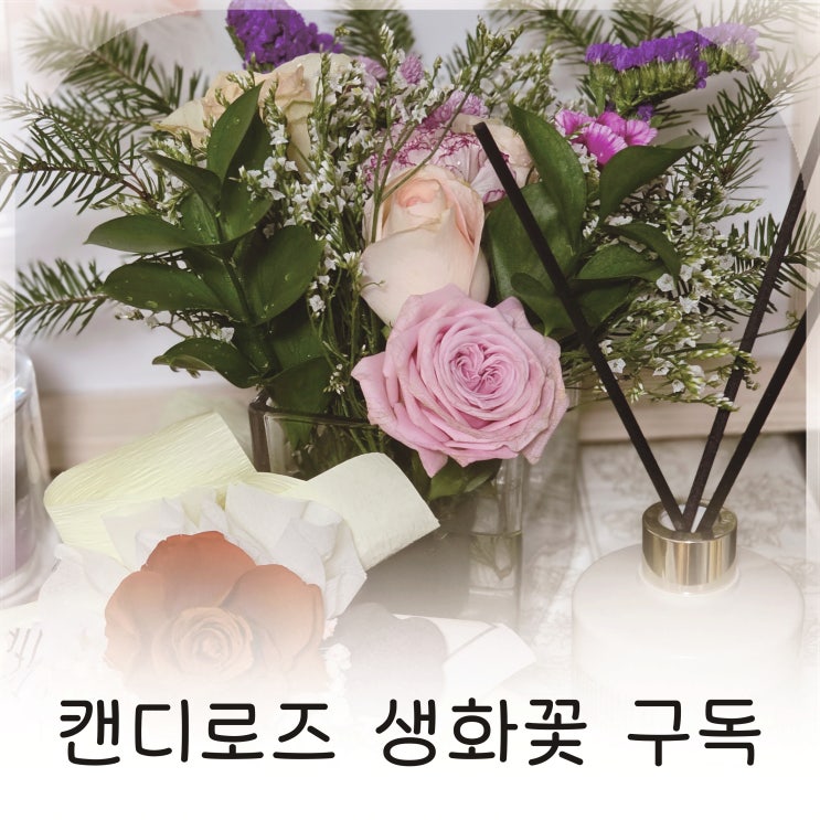  캔디로즈 생화꽃으로 준비한 의미 있는 선물, 아이 행사에 준비한 캔디로즈 생화꽃