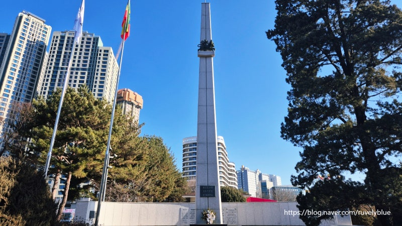 사진 5