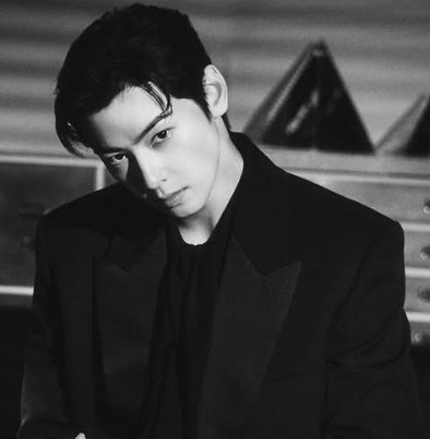  차은우 ‘200억 추징’ 사과문 게시,  왜 여론은 ‘1월 26일’에 더 반응했나