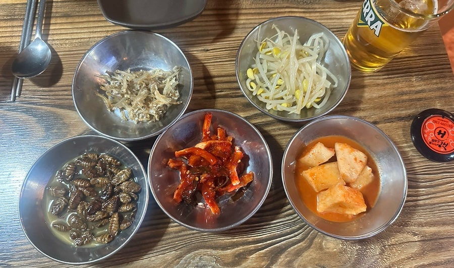 함평나비골 사진 5