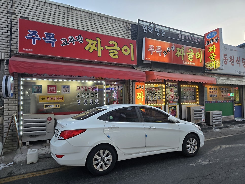 천하명촌주목 사진 3
